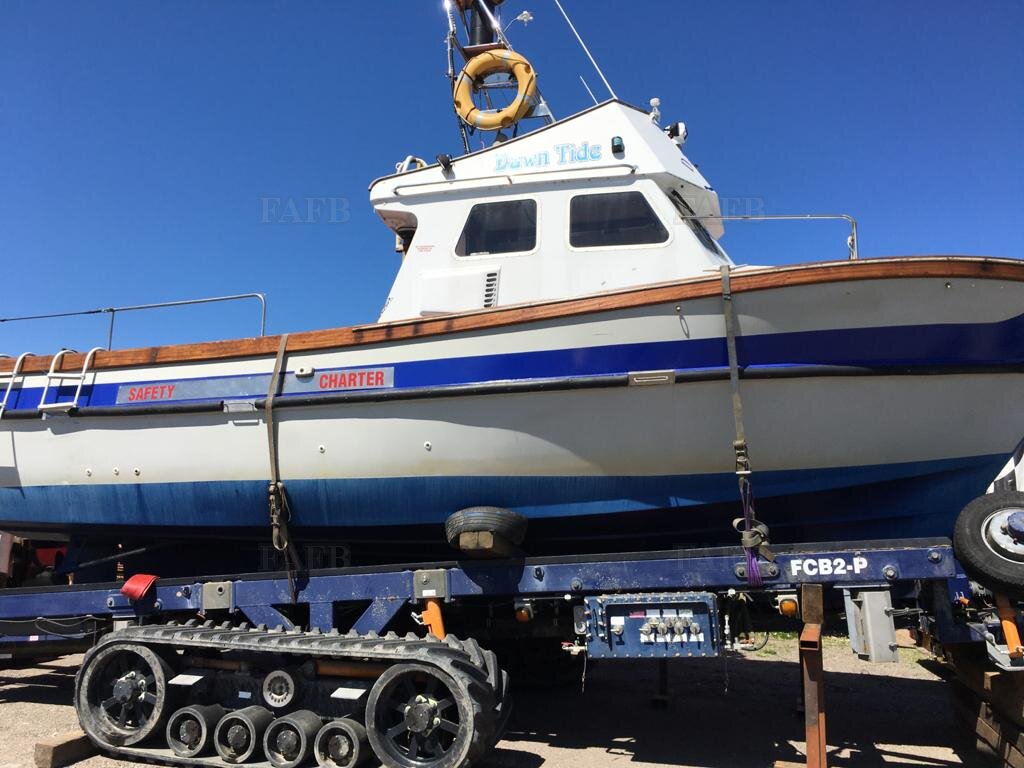 Cygnus cyfish Fly Bridge