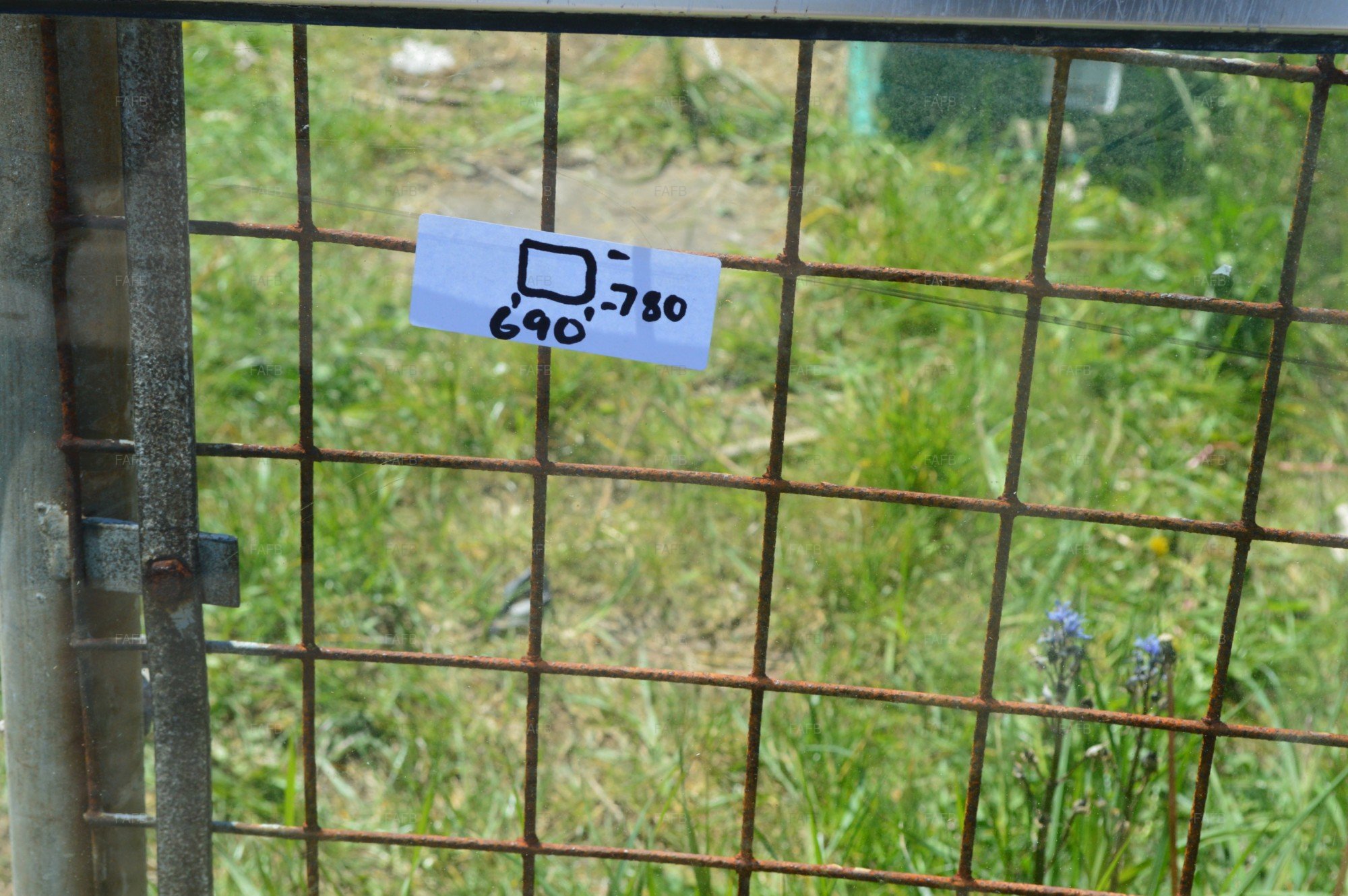 Large picture for advert 103506