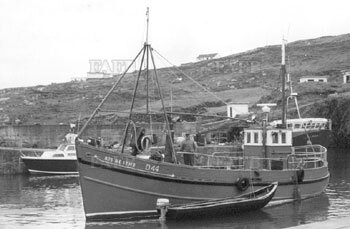 Large picture for advert 126506