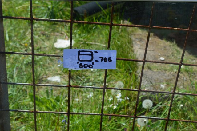 Large picture for advert 103506