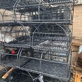 Extra picture for advert 112356