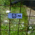 Extra picture for advert 103506