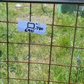 Extra picture for advert 103506